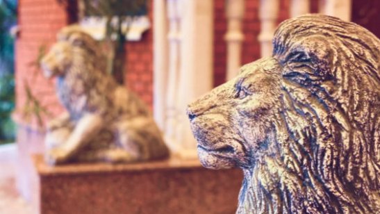 Специализированный комплекс «Захарково»