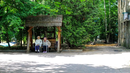 Дом престарелых Солнечногорск GreenDay фото 3