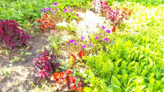 Дом престарелых Ногинск GreenDay фото 5