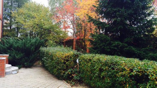 Пансионат Life Pension «Петровский» фото 4