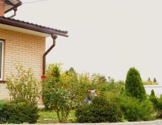 Пансионат «Домашний»