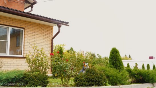 Пансионат «Домашний»