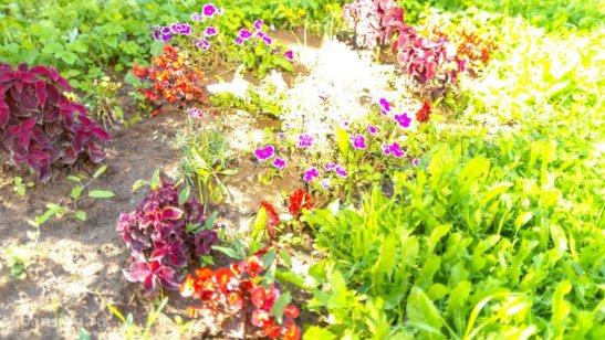 Пансионат для пожилых людей GreenDay Балашиха фото 5