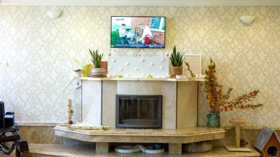 Пансионат для пожилых Внуково фото 7