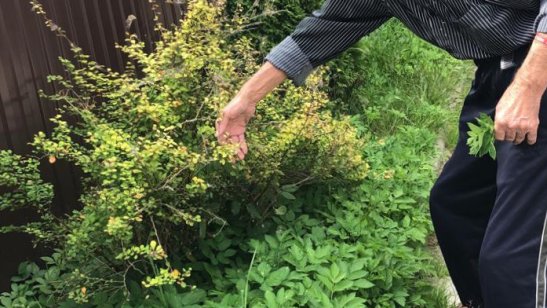 Пансионат GreenDay Алтуфьево фото 6