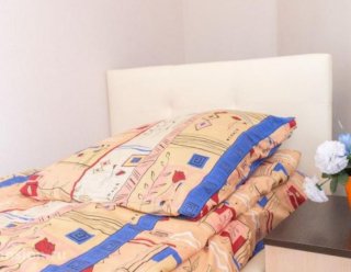 Пансионат Электросталь