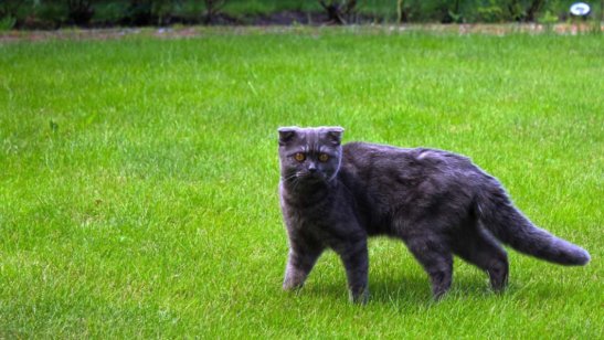 Пансионат Монино фото 6