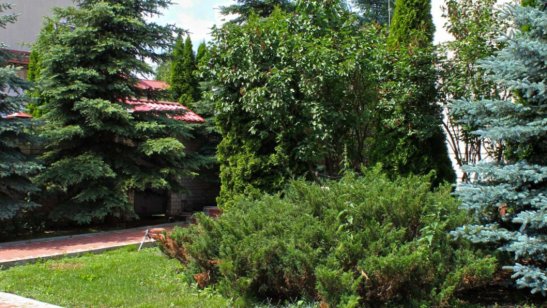 Пансионат Монино фото 8