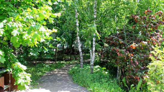 Дом престарелых GreenDay в Переделкино фото