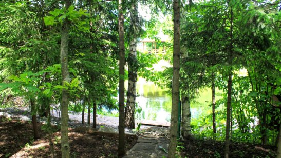 Дом престарелых GreenDay в Переделкино фото 3