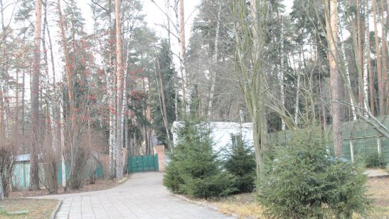 Пансионат GreenDay Ильинский фото 5