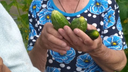 Пансионат GreenDay Теплый Стан фото 6