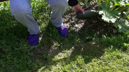 Пансионат GreenDay Теплый Стан фото 7