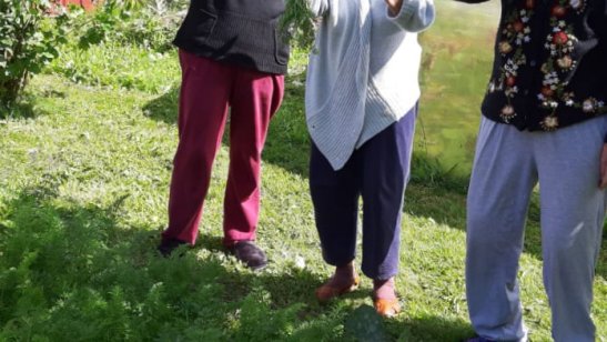 Пансионат GreenDay Теплый Стан фото 9