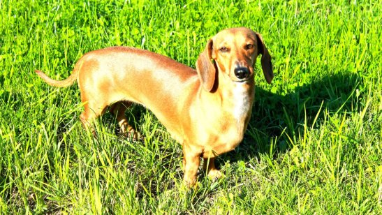 Дом престарелых Бутово GreenDay фото 5