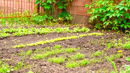Пансионат GreenDay на Пятницком шоссе фото 7