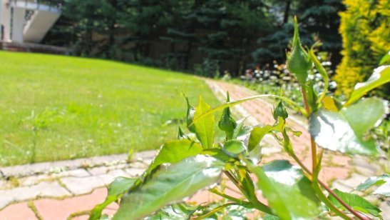 Пансионат GreenDay на Калужском шоссе фото 8