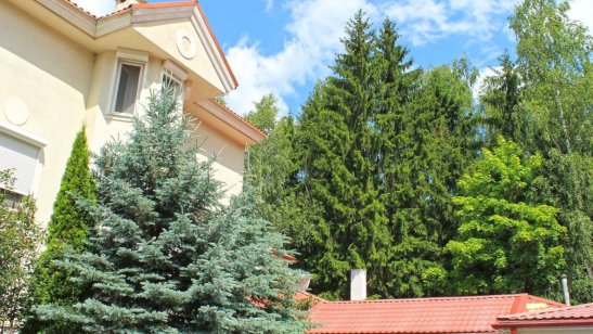 Пансионат GreenDay на Калужском шоссе фото 10