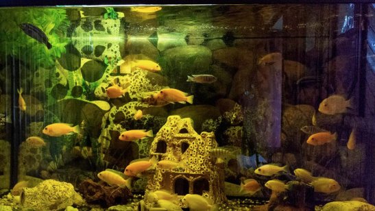 Пансионат Ивантеевка фото 4