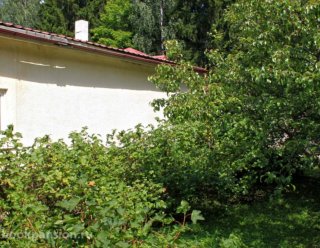 Дом престарелых Зеленоград