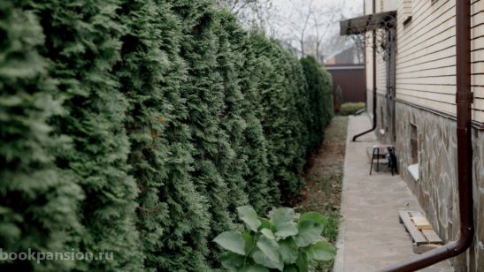 Пансионат РВЦ «Щелково» Родной очаг фото