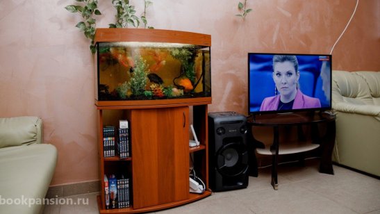 Пансионат РВЦ «Щелково» Родной очаг фото 8