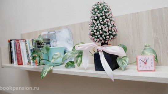 Пансионат РВЦ «Щелково» Родной очаг фото 20