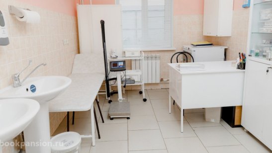 Пансионат РВЦ «Щелково» Родной очаг фото 26