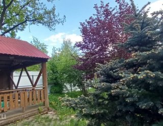 Пансионат Одинцово Дубки