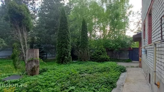 Пансионат Одинцово Дубки фото 8