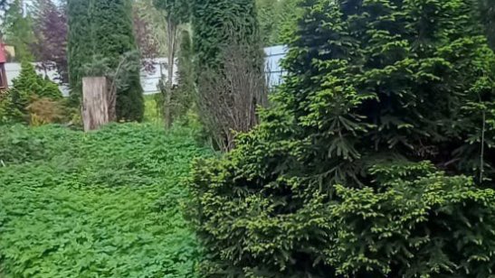 Пансионат Одинцово Дубки фото 9