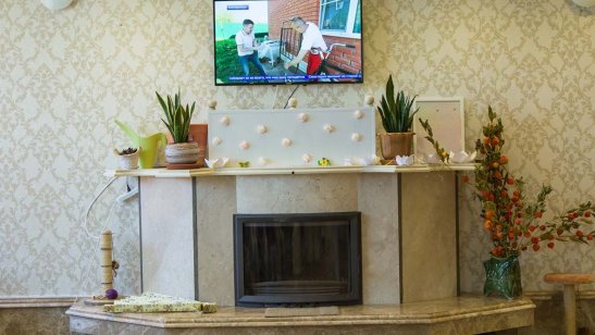 Пансионат Востряково фото 4