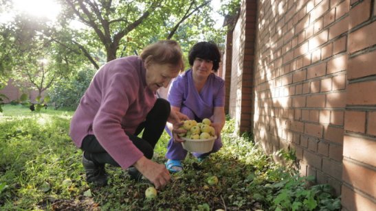 Пансионат Древо Жизни в г. Красногорск фото