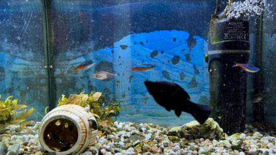 Пансионат «Уютный уголок» Балашиха фото 5