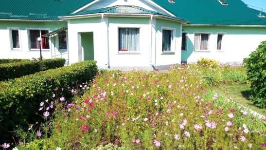 Пансионат Желтый крест в Буньково