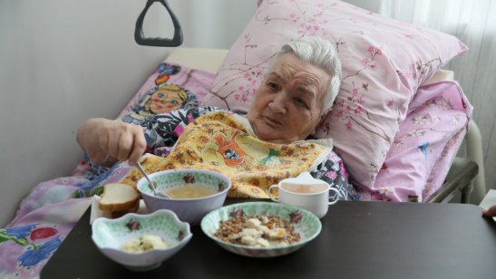 Пансионат Желтый крест в Хорлово фото 8