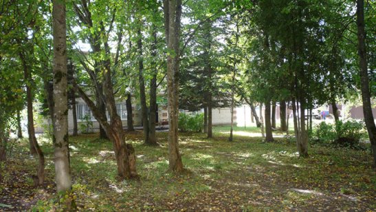 Пансионат Долголетие в Зеленограде фото 3