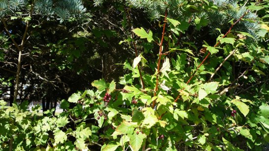 Пансионат Долголетие в Зеленограде фото 4