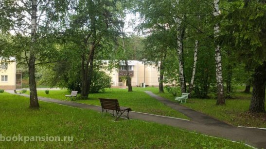 Центр «DOM.STAR» Раменское фото