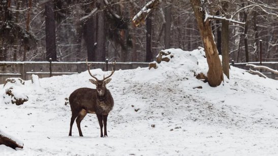 Пансионат Сердца поколений в Малаховке фото 4