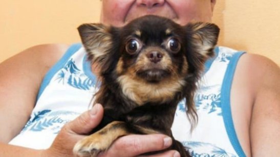 Пансионат Доброта в Новокосино фото 17