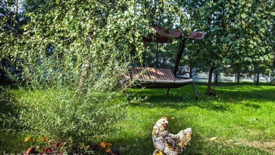 Пансионат Доброта в Новокосино фото 18