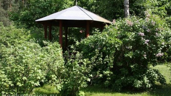 Частный пансионат «Быково» фото 4