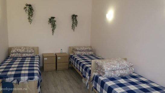 Дом престарелых Академия Долголетия в Видном фото 4