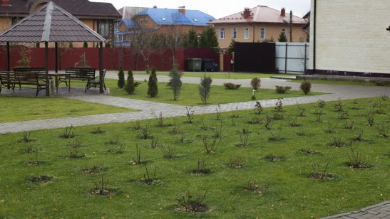 Частный дом престарелых «Линия жизни» Видное фото 8