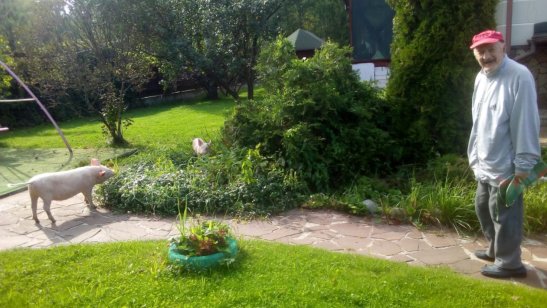 Пансионат «Добро» в Ногинске фото