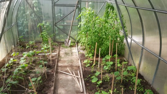 Пансионат «Добро» в Ногинске фото 4