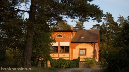 Пансионат Ника в Улиткино фото 15