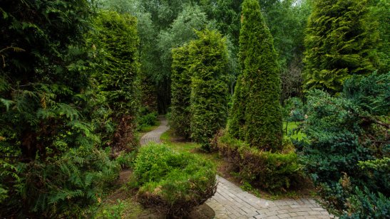 Частный дом для пожилых «Линия жизни» Дубрава 19 фото 7