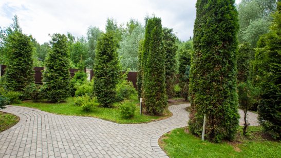 Частный дом для пожилых «Линия жизни» Дубрава 19 фото 8